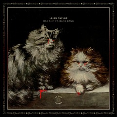 Bad Shit ft. BangBang