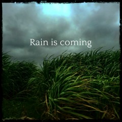Rain is coming
