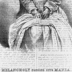 The Quick Brown Fox  Klippa - MELANCHOLY Passing Into MANIA