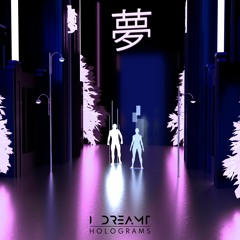 H O L O G R A M S