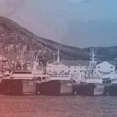 In Alaskan Cities, Climate Risks Could Become Credit Risks