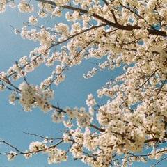 Kirtan at The Monkies (20 mar 2018)