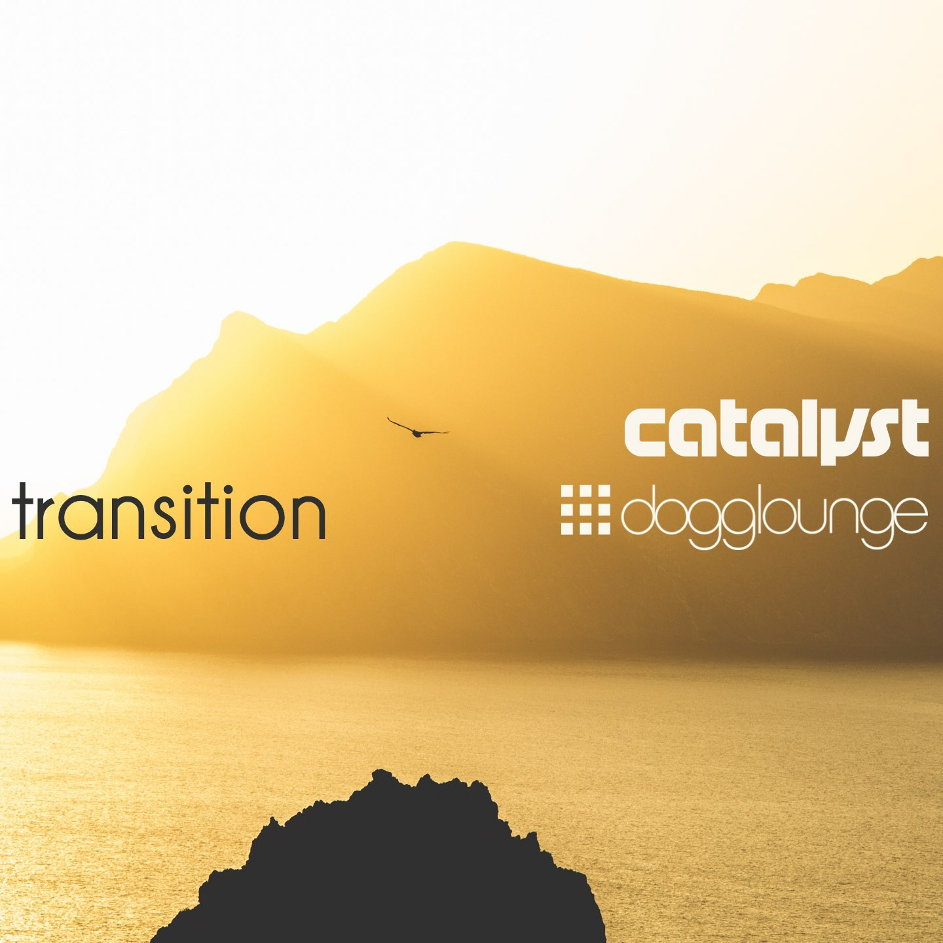 Transition (live from dogglounge.com) episode artwork