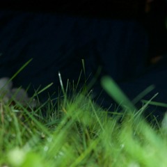 oh well (prod. Mayno)