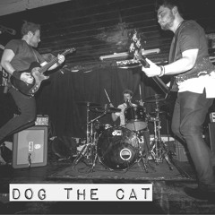 Dog The Cat