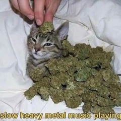 New Listening