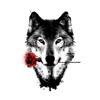 Offset 21 Savage Metro Boomin Ric Flair Drip Wolfii Remix Mp3