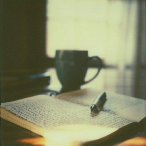 صابرين الحاج احمد