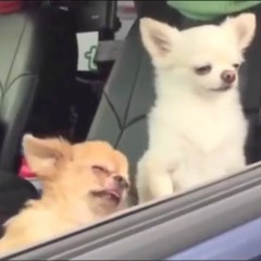 Waking Up