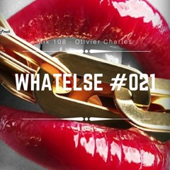 WhAtElsE Series #021