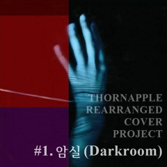 Darkroom (Thornapple) Rearranged Instrumental Cover (쏜애플 암실 기타 편곡 커버)