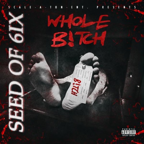 Seed Of 6ix "Whole Bitch" (Prod. By Locodunit & DJ Paul)