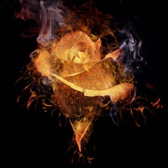 Dreams Of Roses And Fires