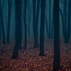 Dark Progressive - Psygressive - Zenonesque