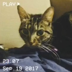 Chainsmokers Delight (Single)