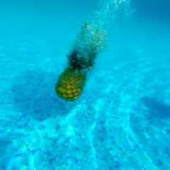 Feat. Shenzi Staccs - Vibezzzz