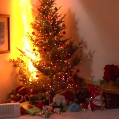 Zeph Judah - We Dont