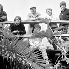 Wouldn't It Be Nice (from another room)- Beach Boys