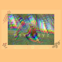 TRILL MILE$ - NOWADAYZ (produced by lakeside)