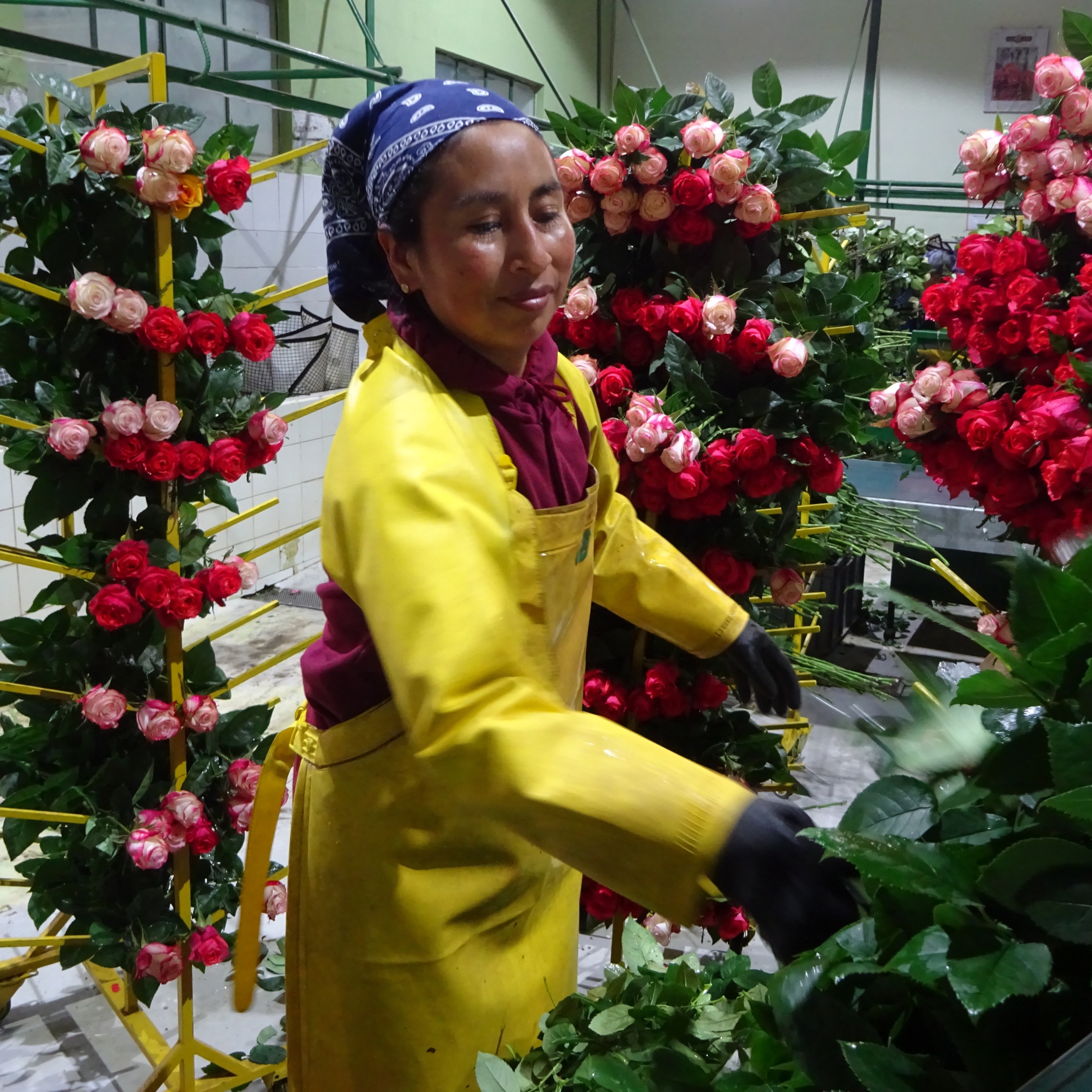 Behind the bouquet