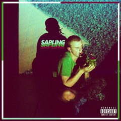 Sapling