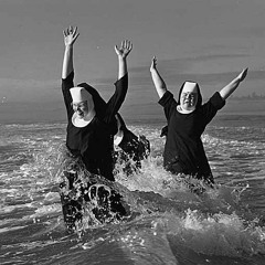 The Octopus (Work in Progress)