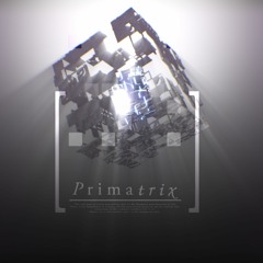 Primatrix