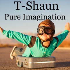 T-Shaun- Pure Imagination