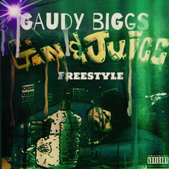 Snoop Dog Gin and Juice FreeStyle