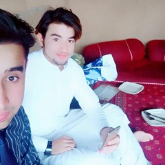 Dj Bulent Cakmak - Wild Life  HADES (ORİGİNAL MİX)