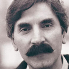 Bijan.Bijani-Navaee