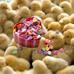 CANDY