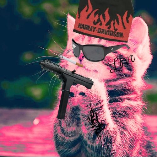 oksettava narkkari kissa hyi helvetti (ällö) ((oikeesti));;(