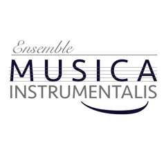 W.A.Mozart-Divertimento per archi K.138- I Mvt.- Ensemble Musica Instrumentalis