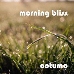 Morning Bliss