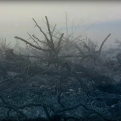 Allegro Molto (Dmitri Shostakovich, part II from Chamber Symphony Op.110a)