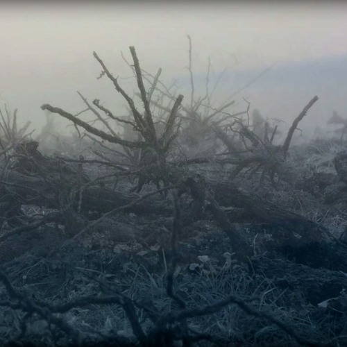 Allegro Molto (Dmitri Shostakovich, part II from Chamber Symphony Op.110a)