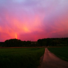 Shallertz - Take my place