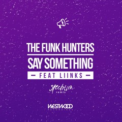 The Funk Hunters - Say Something (Spectrum Remix) [feat. LIINKS]