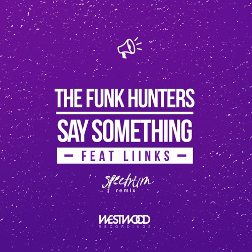 The Funk Hunters - Say Something (Spectrum Remix) [feat. LIINKS]