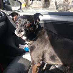 AT317 Cross - Mod Squares & PWM (Sloths) 2