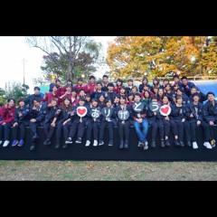 TBC Medley2014 - 2018