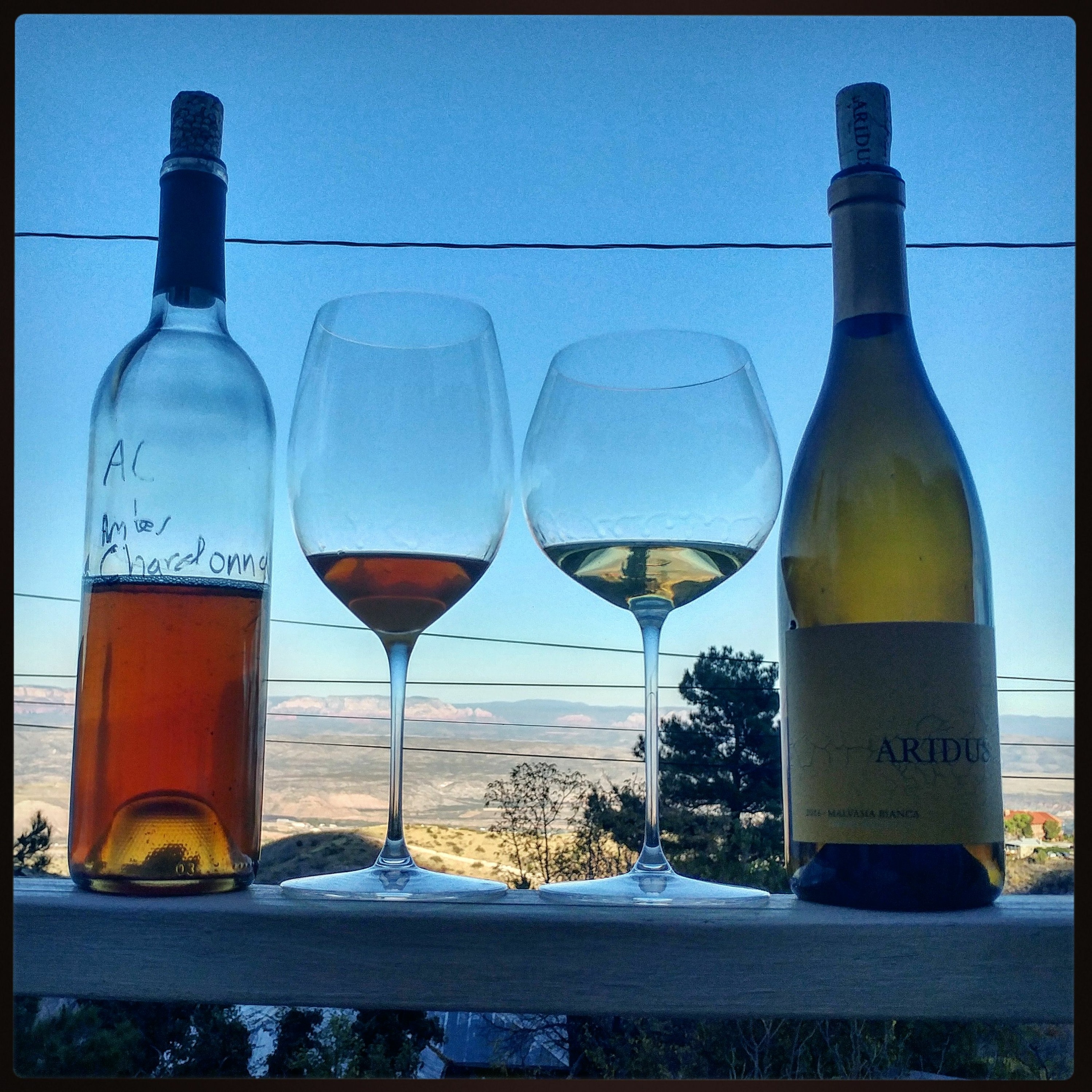 The Arizona Wine Monk Podcast