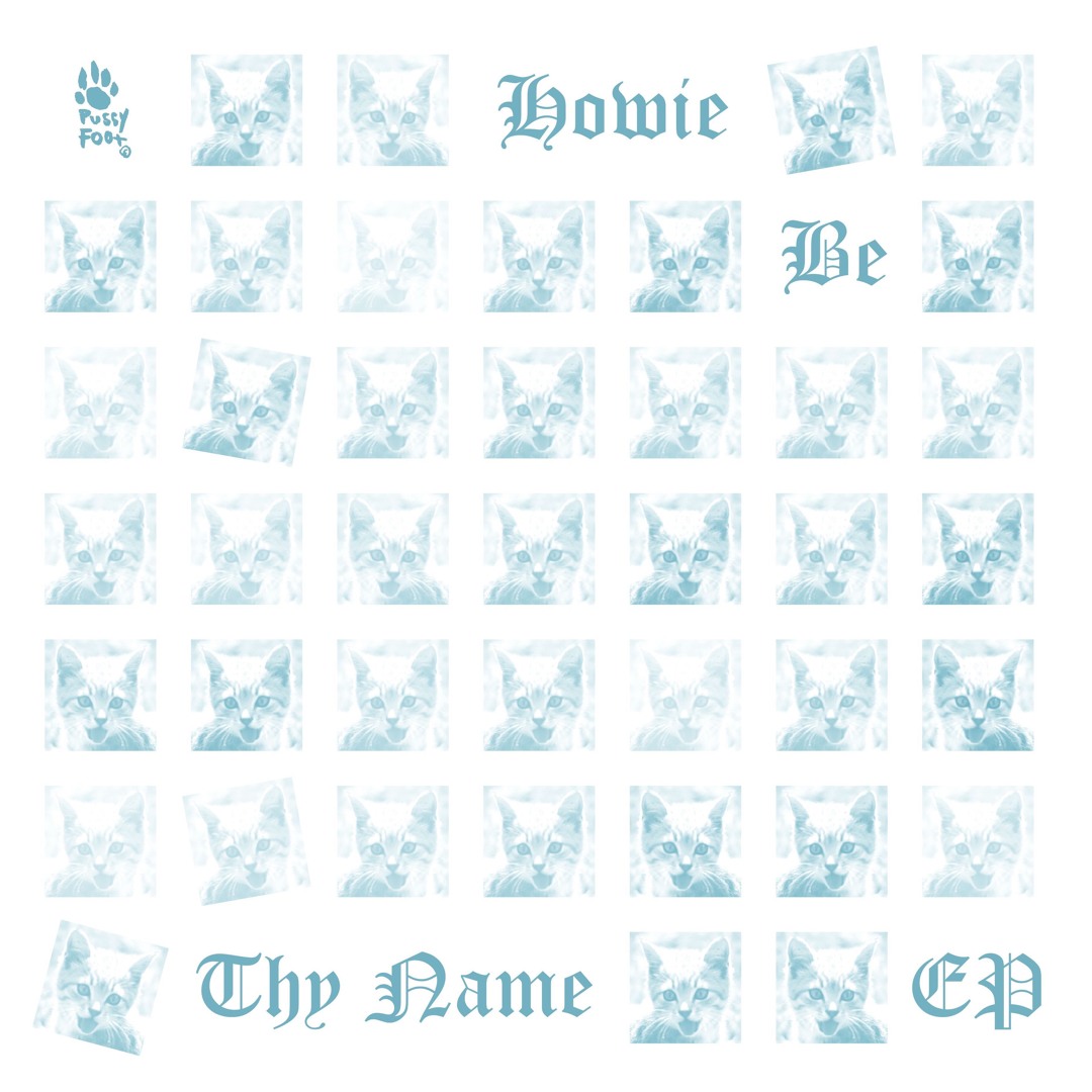 Stream Pussyfoot Records | Listen to Howie Be Thy Name EP playlist