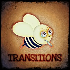 Transitions X Pyro