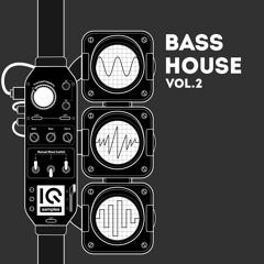 IQ Samples - Bass House Vol.2 - Demo