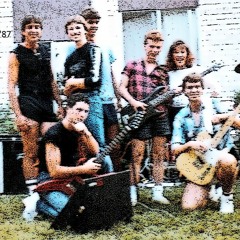 dance all night - live