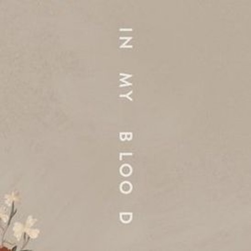 In My Blood - Shawn Mendes