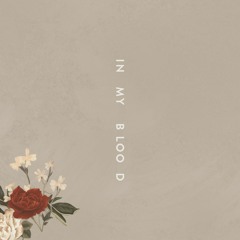 Shawn Mendes "In My Blood"