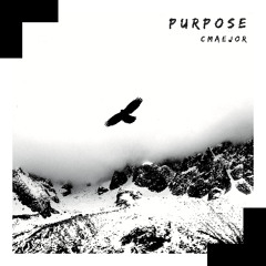 CMaejor // Purpose